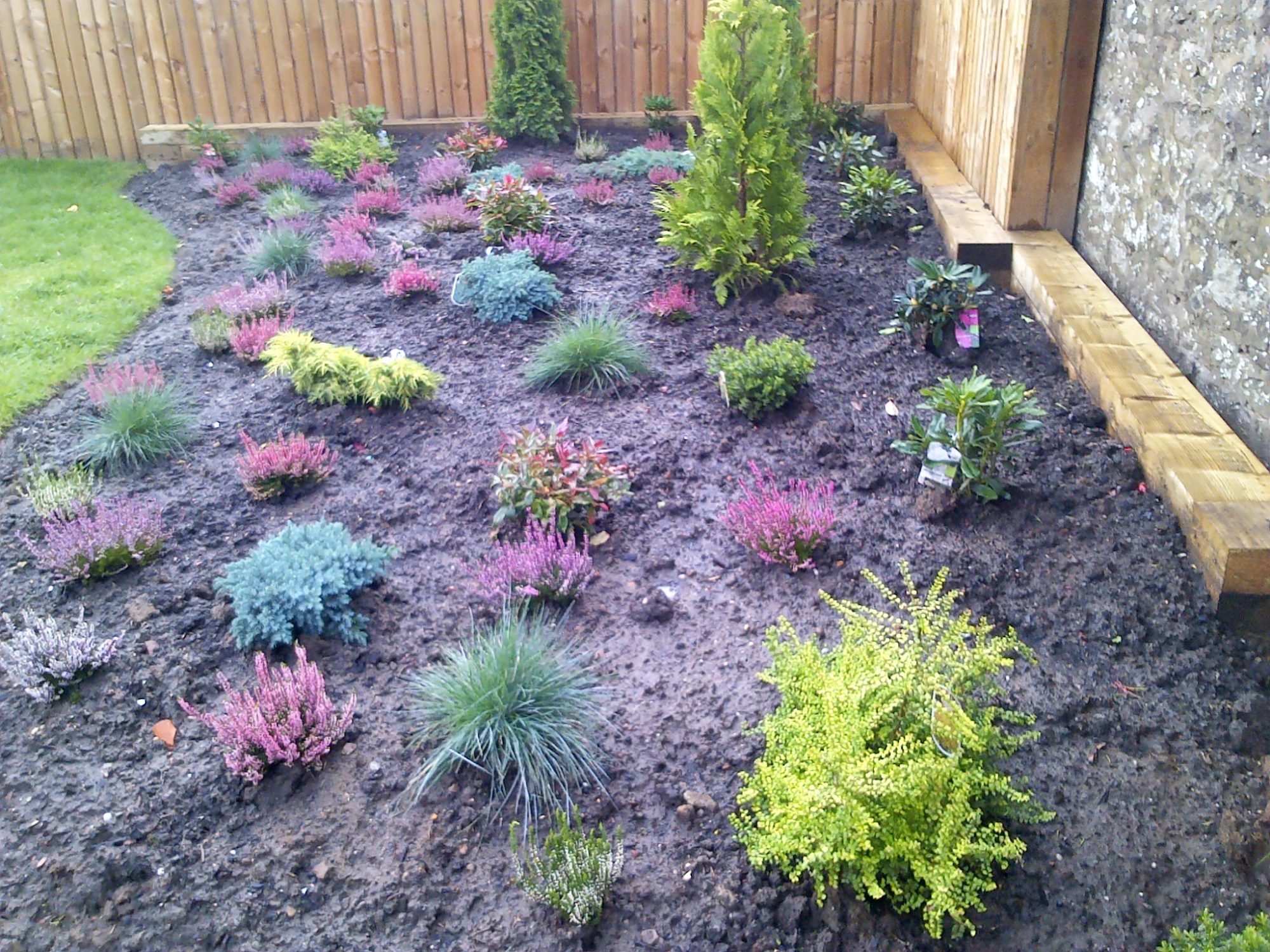 Garden Maintenance