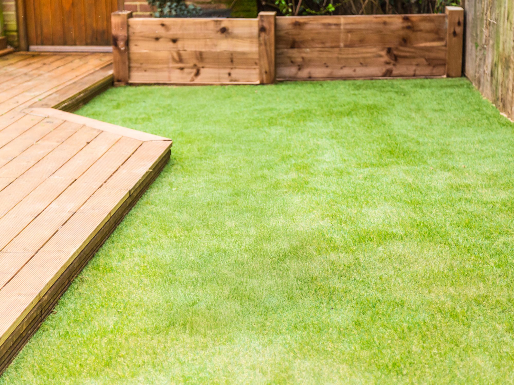 gardening services -artificial grass