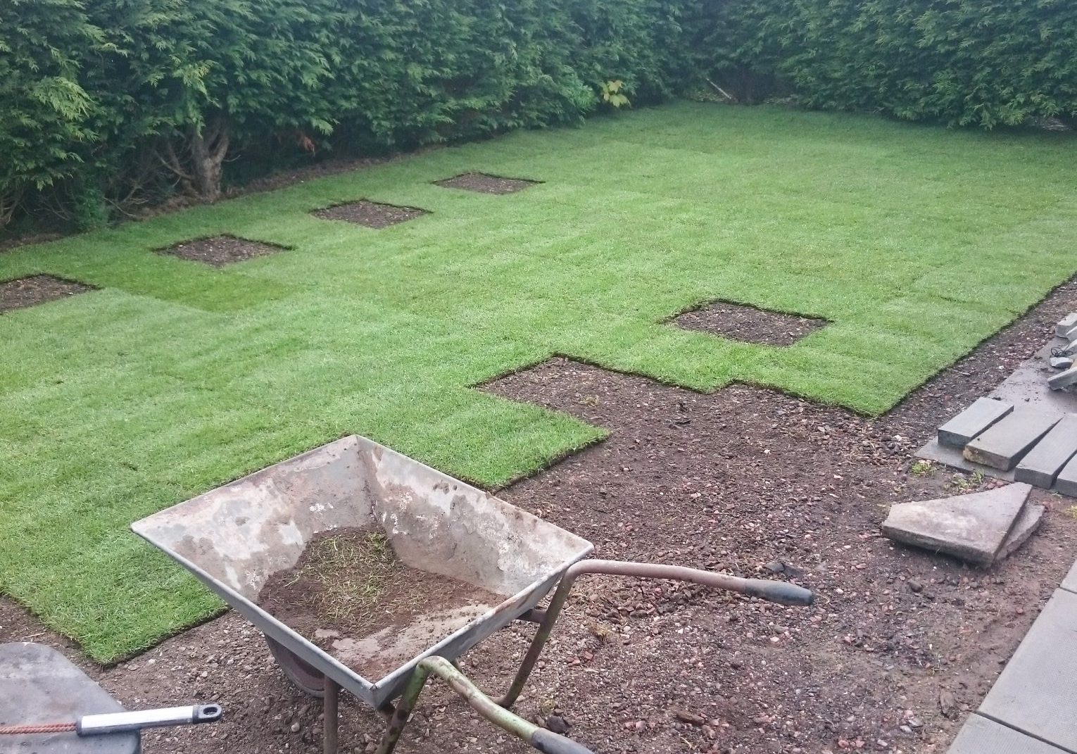 465123497_8628493393907401_8201565741624333216_n Garden Maintenance