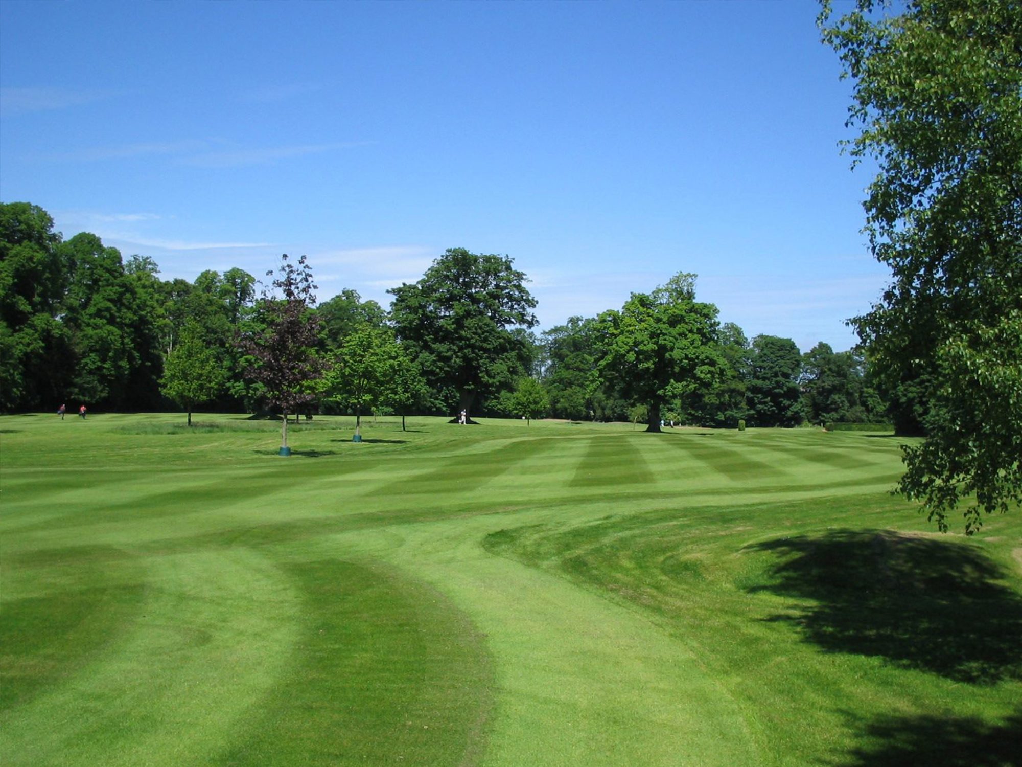 Golf Course Design